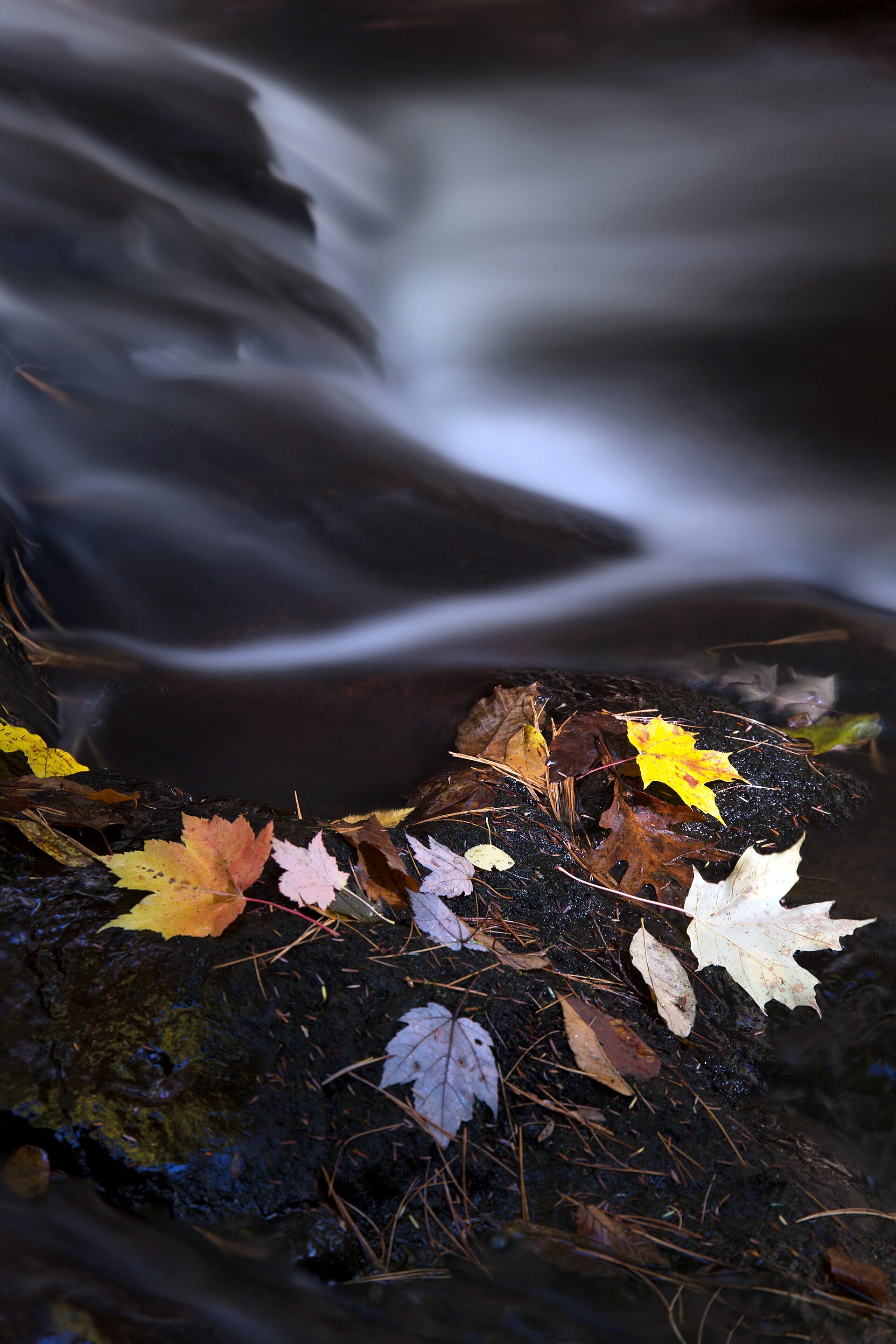 How to Edit Autumn Foliage Without Overcooking It