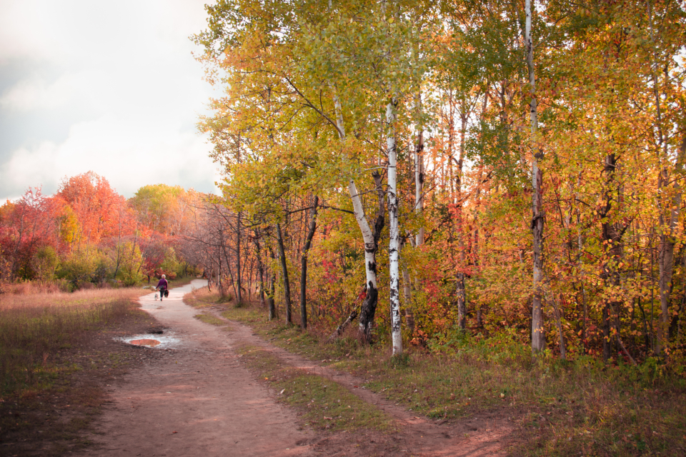 Twenty Years of Fall Color, One Shot List