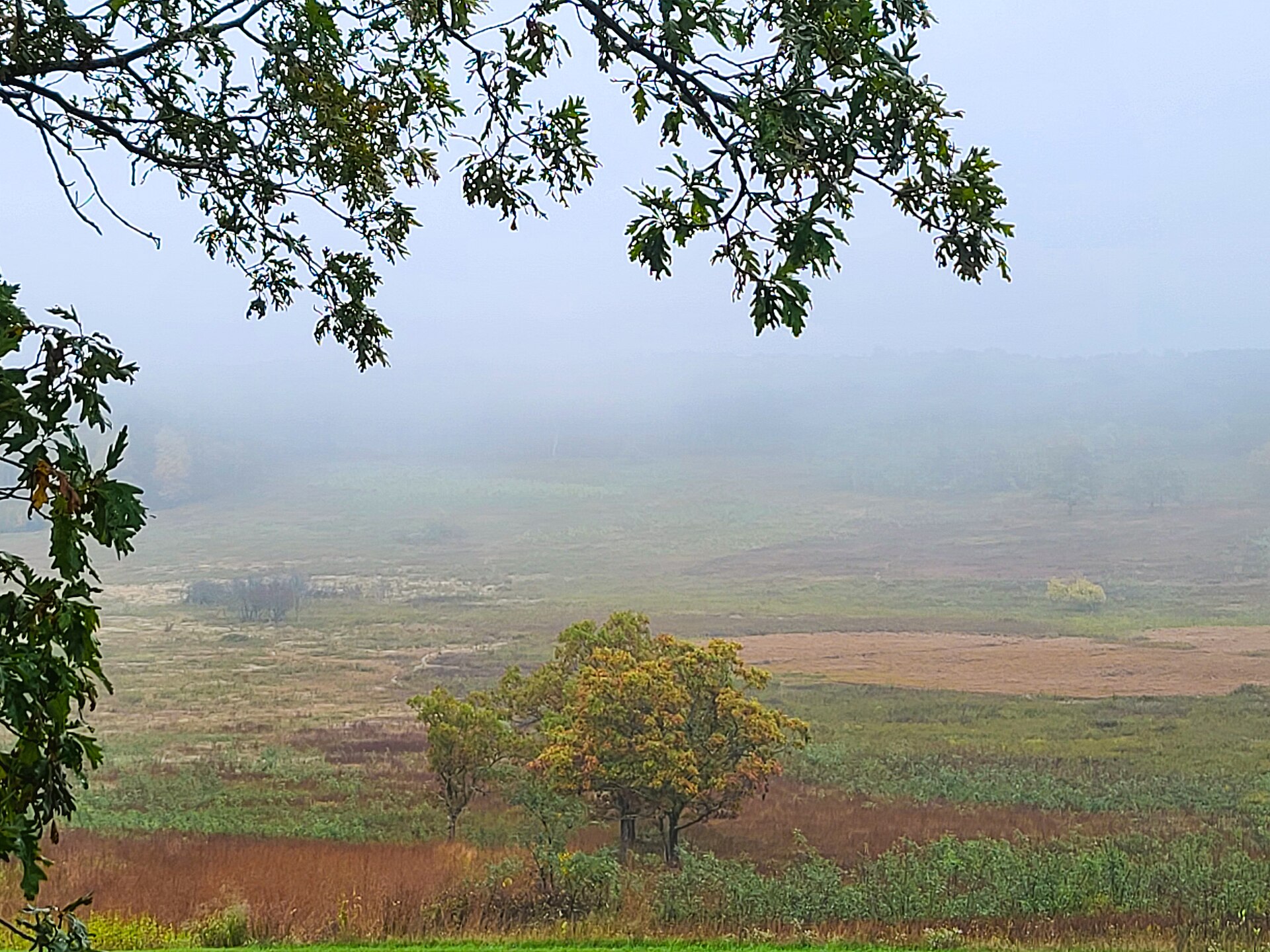 You Don't Need a Fiery Sunset to Make a Great Landscape Photo
