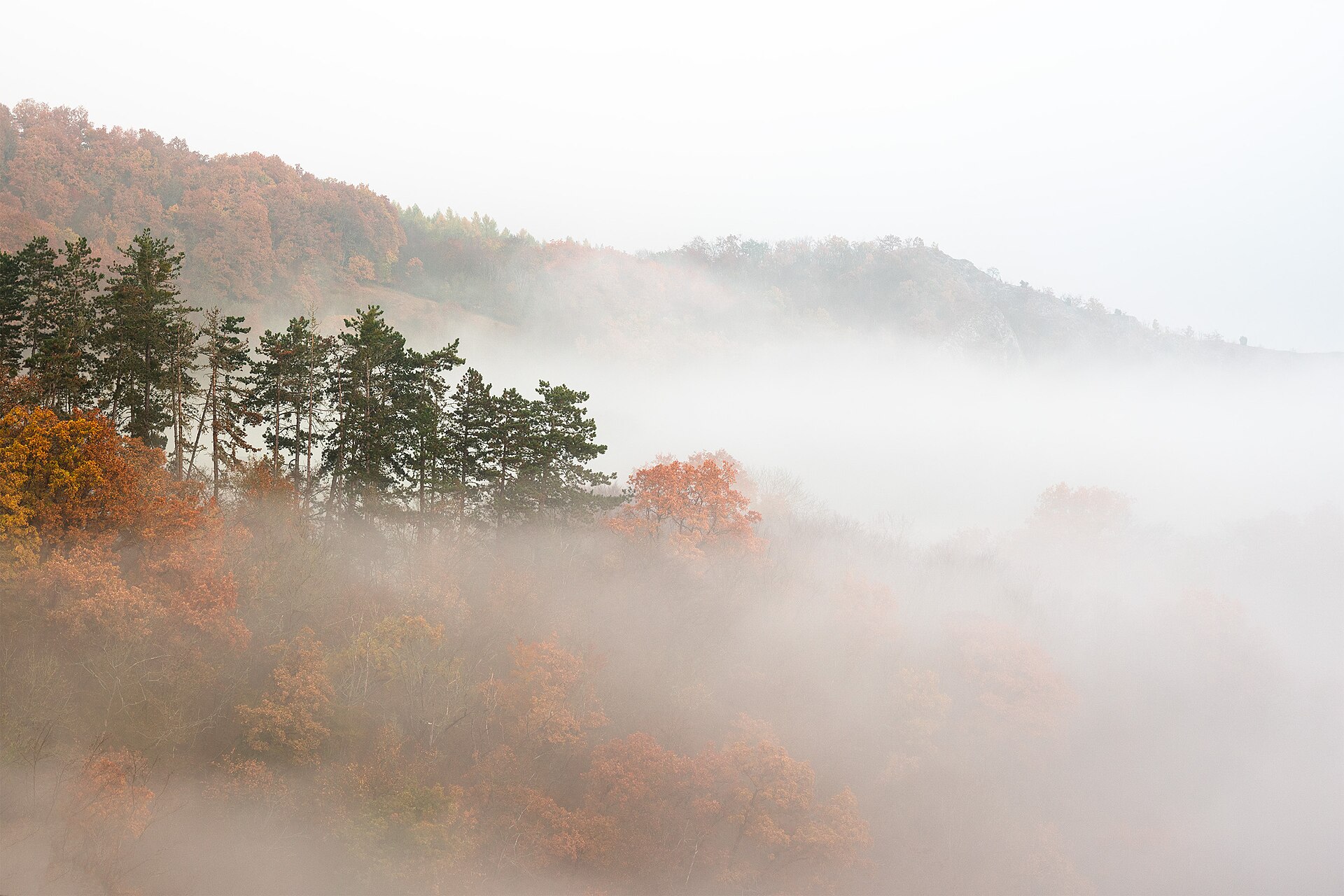 How to Find Compositions When the Location Overwhelms You
